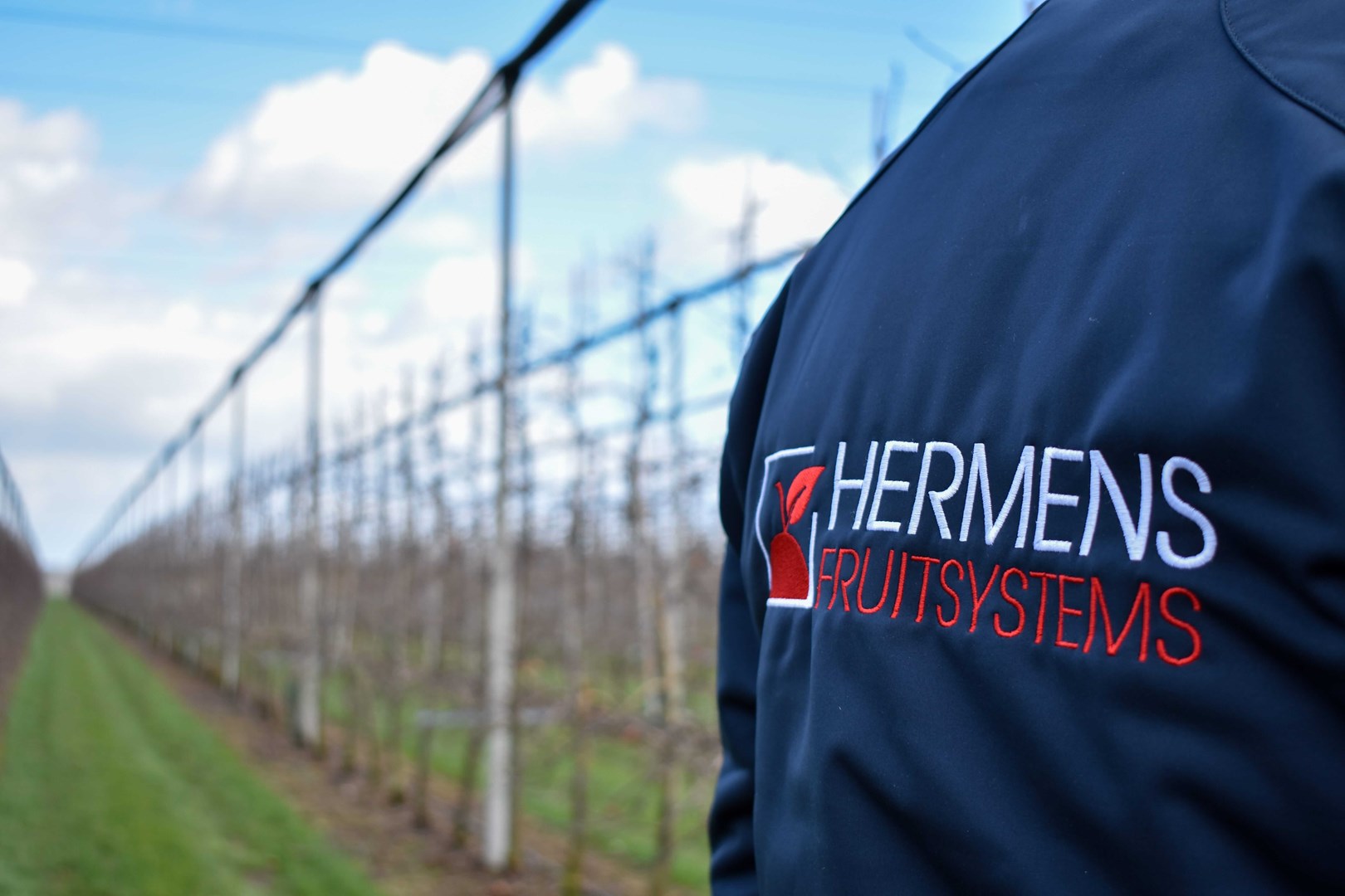 Medewerker met Hermens Fruitsystems jas tussen een hagelnetsysteem.